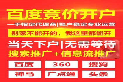 案例解读：SEM广告投放的技巧与策略